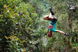 Miravalle Canopy Tour - All You Need to Know BEFORE You Go (with Photos)